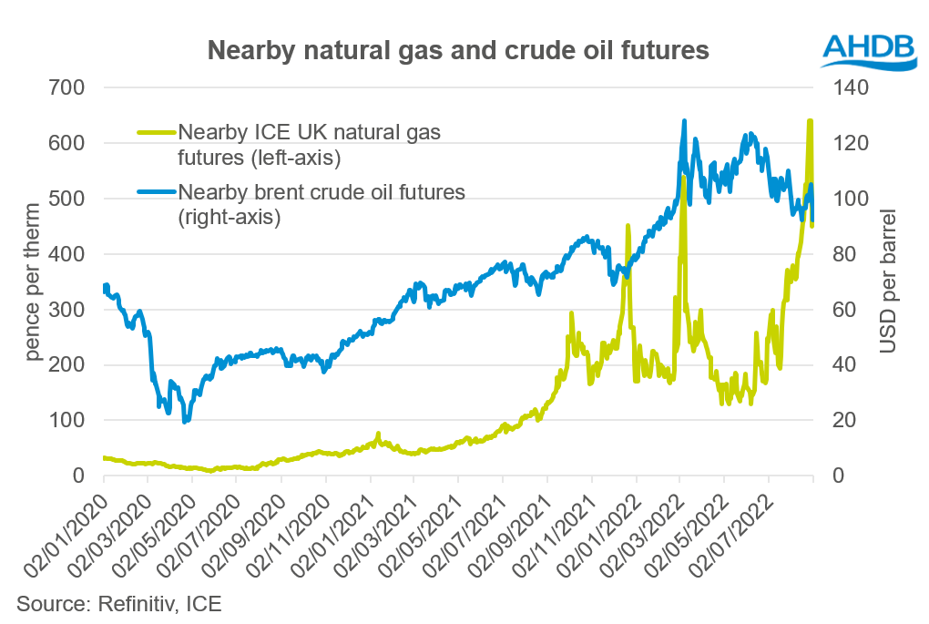 Graph showing nearby natural gas and crude oil prices since the start of 2020